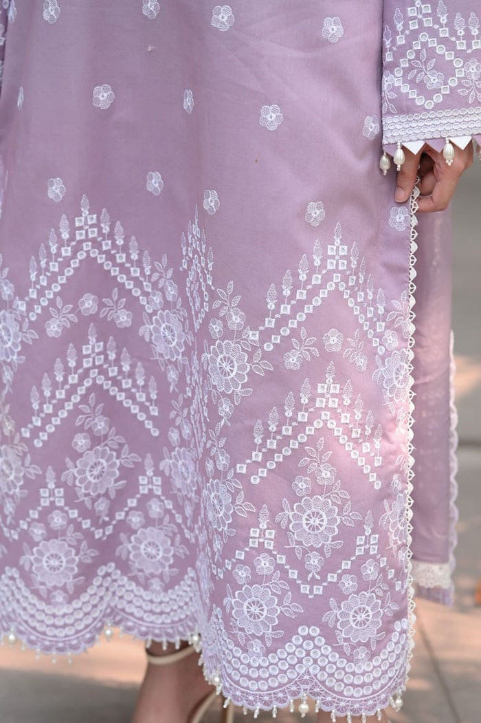 Winter stuff Sapphire Bloom